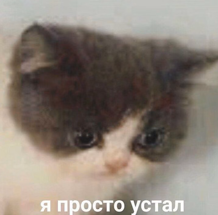 e3a61300650444106087c42a3df4f70e.jpg