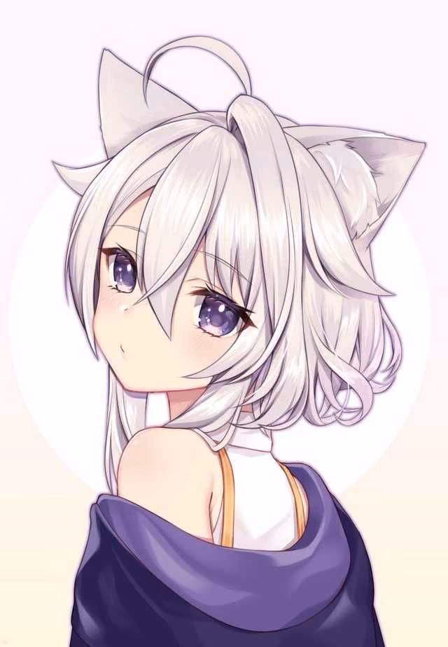 e3b4f577ca8fdfff3271e7c46a5410d6.avif