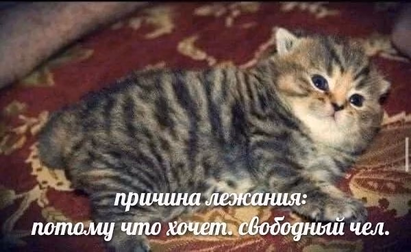 e3c78a31fa7785cc1e605cbc2f12b6e7.jpg