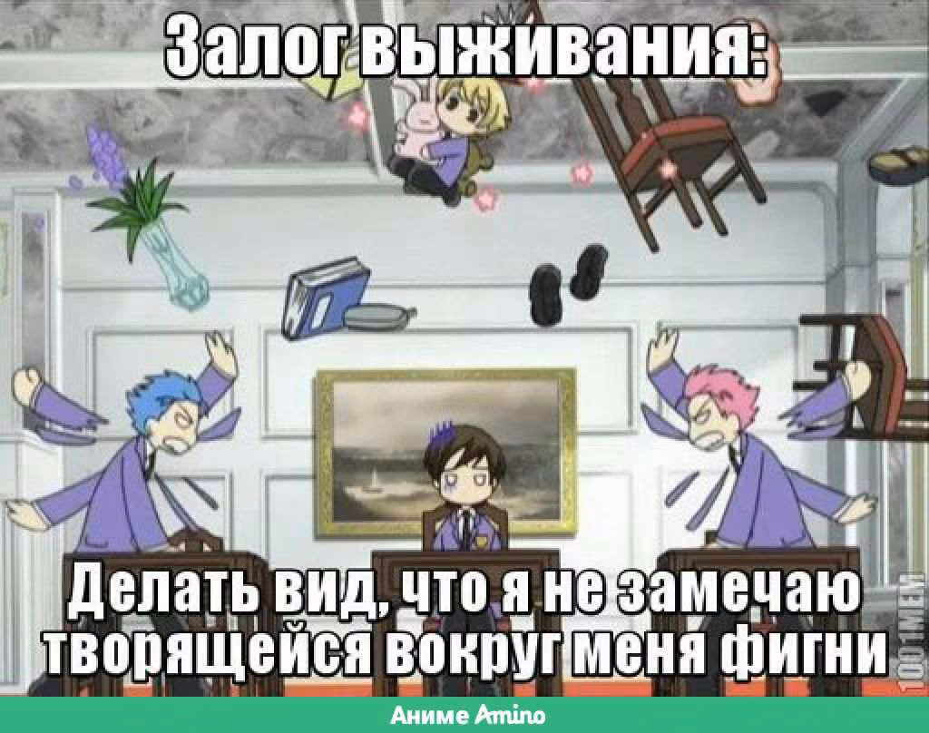 e3d9fc085d3fb4973fb76ac56b4fa12f.avif