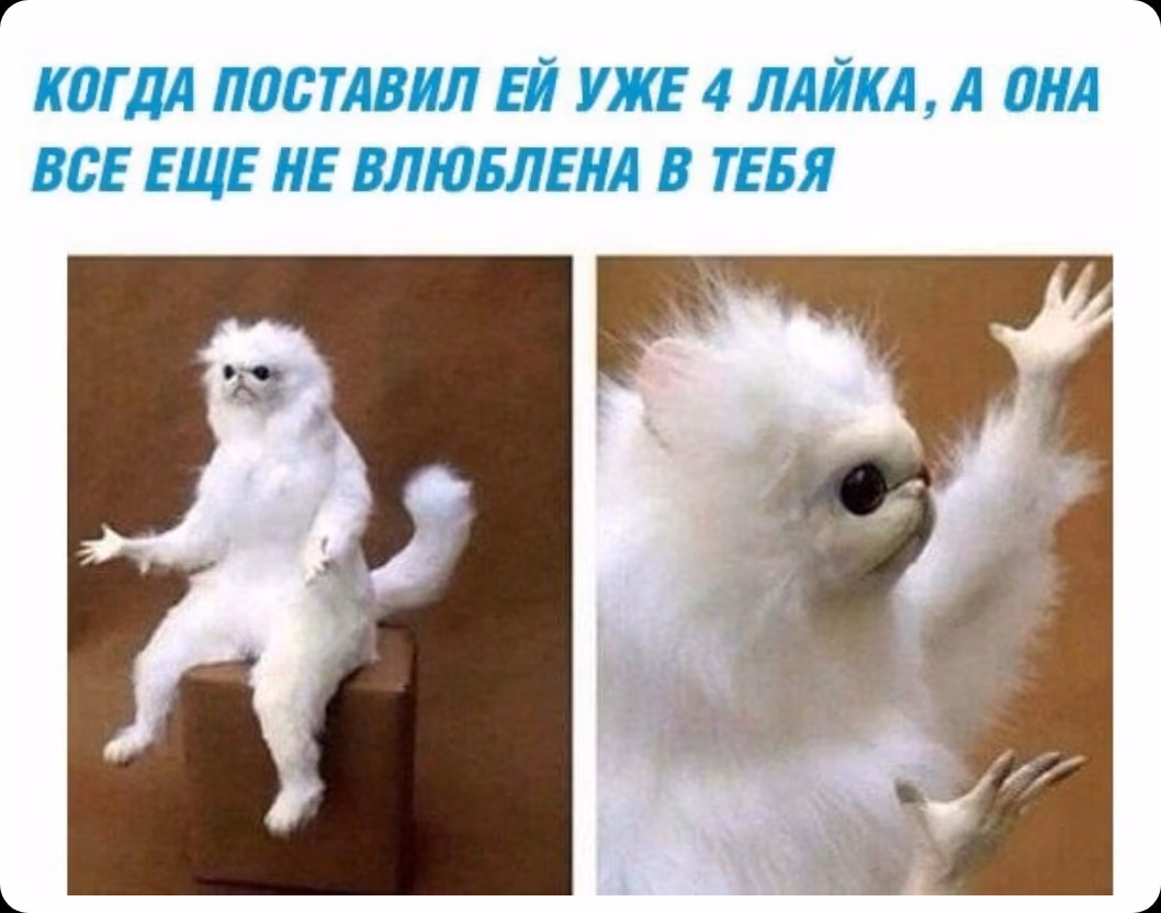 e3df98fa085c112d695f81d30417fc1b.avif