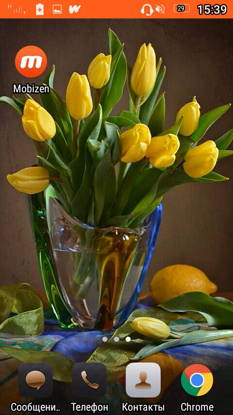 e3e194f08a2c1f90e26dac6b2c244d11.avif
