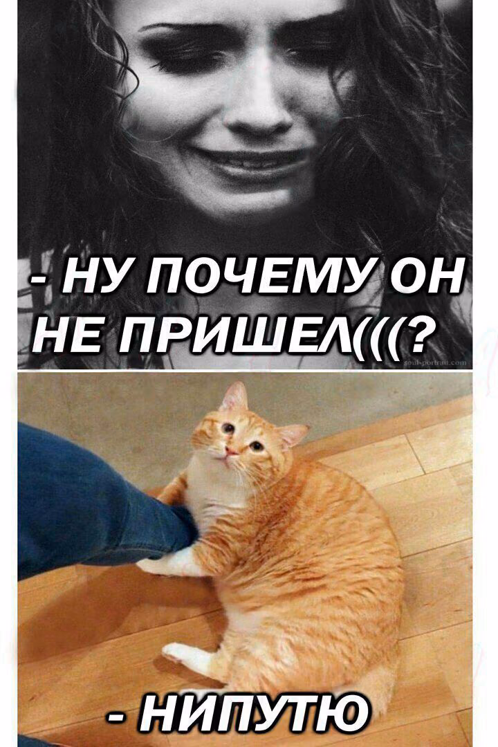 e3e2f82b48cdf9119bb458f3bd1f61c9.avif