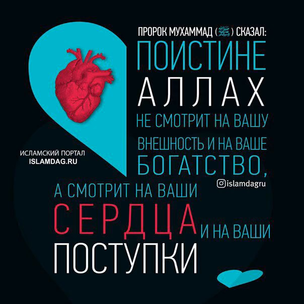 e3e4ecab72524f6bc0b39efe9af5a689.avif