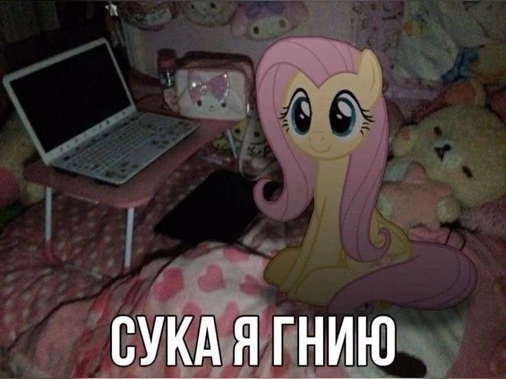e3eae8b78a7749ee1e112edd1c8f1abb.avif