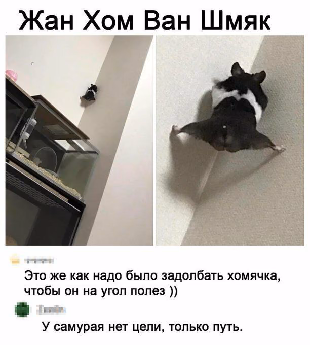 e3fb3c45bc5252df28b668dcbf9f6a45.avif