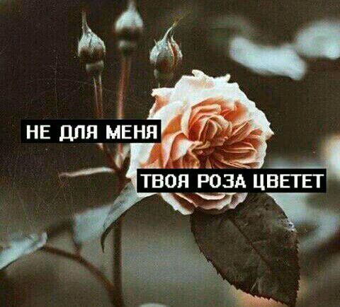 e4072bafbdf74f15e129cbe3519edb8c.jpg