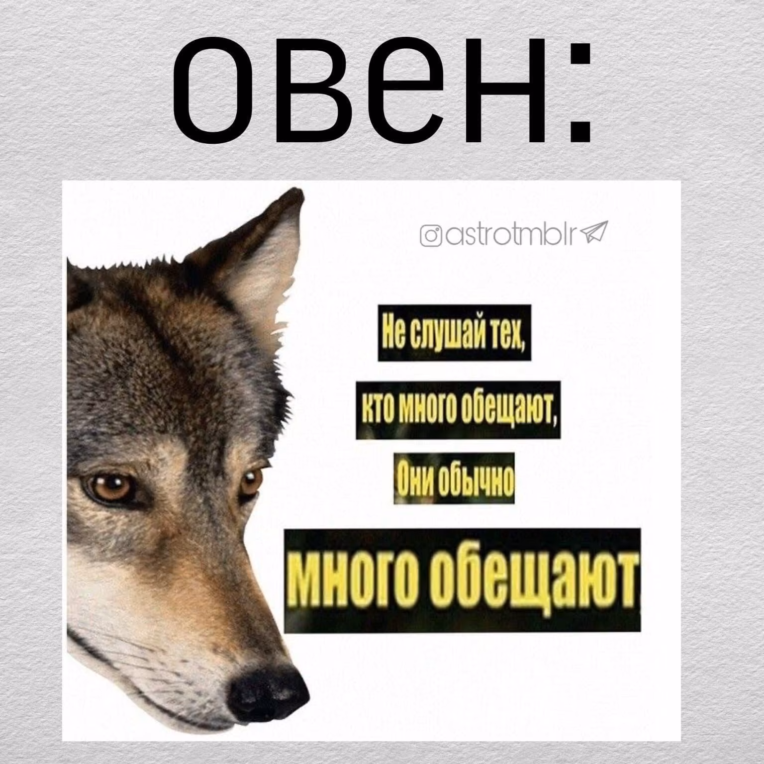 e422e21deae3c3caf626683f26946b3c.avif