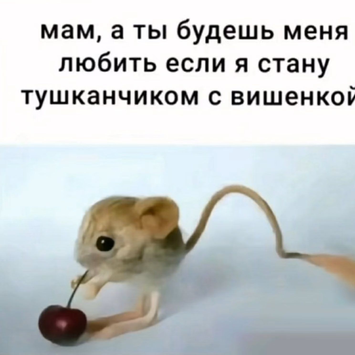 e4235dc9df222fa1796284a2b15f326d.avif