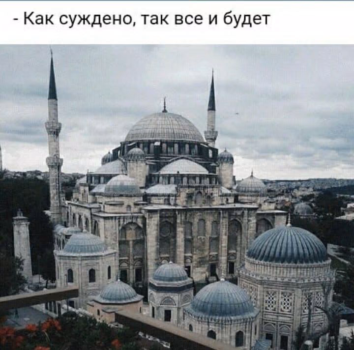 e43d36371cd0492416ac2c31b7ffcf90.avif
