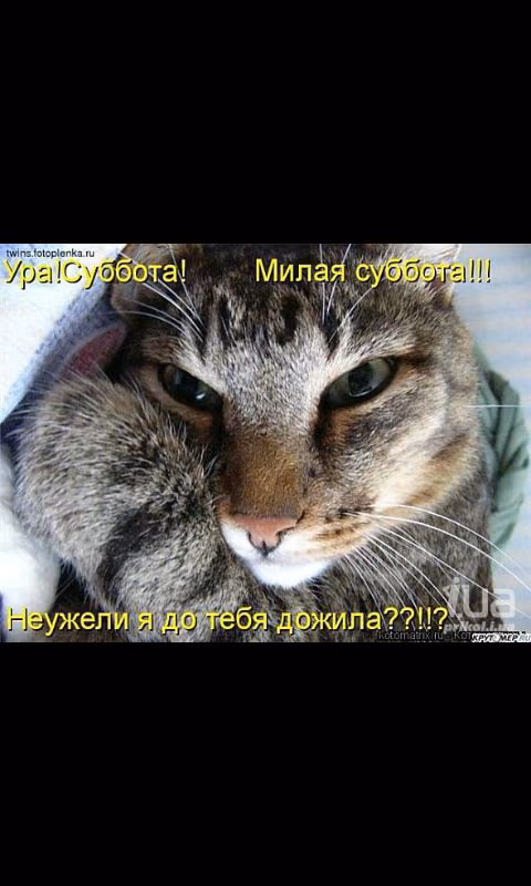 e45be1141c12246e09809d8cb58fb078.avif