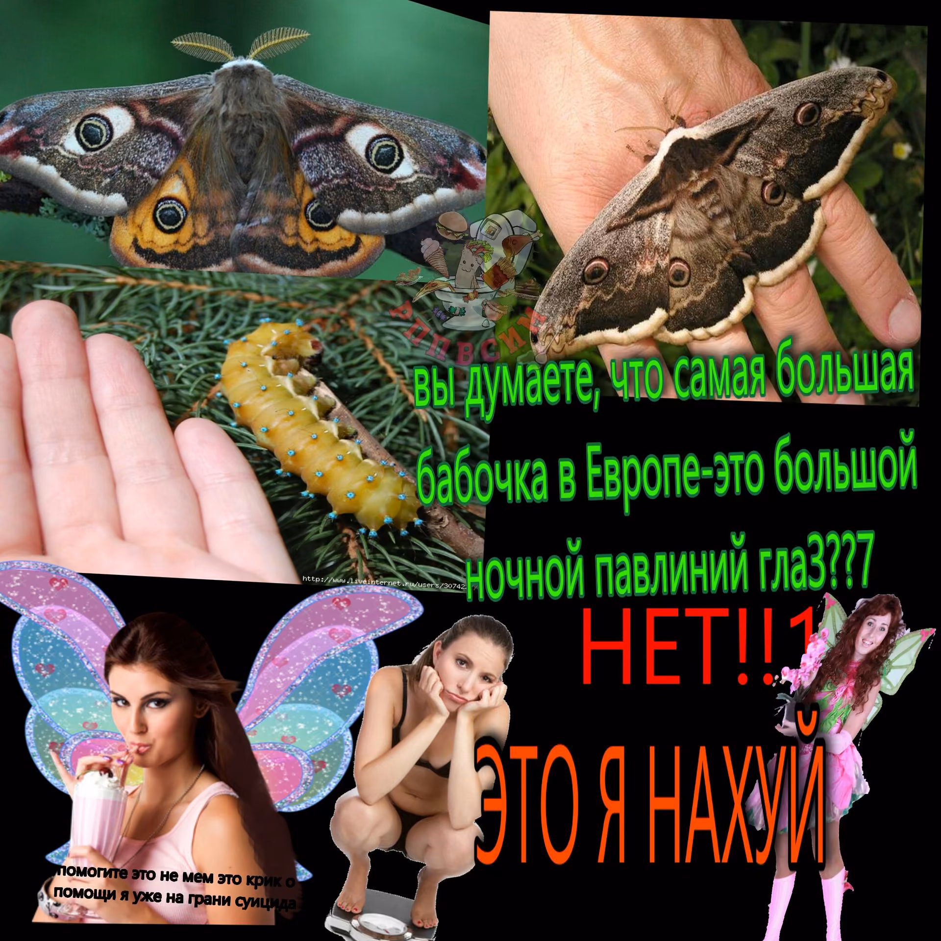 e46041432a2ff03550bff1cbef1d0961.jpg