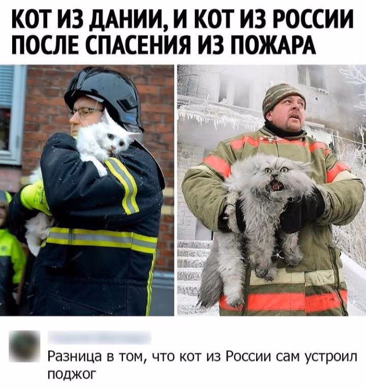 e468efcafce7be7806759cac74880062.avif