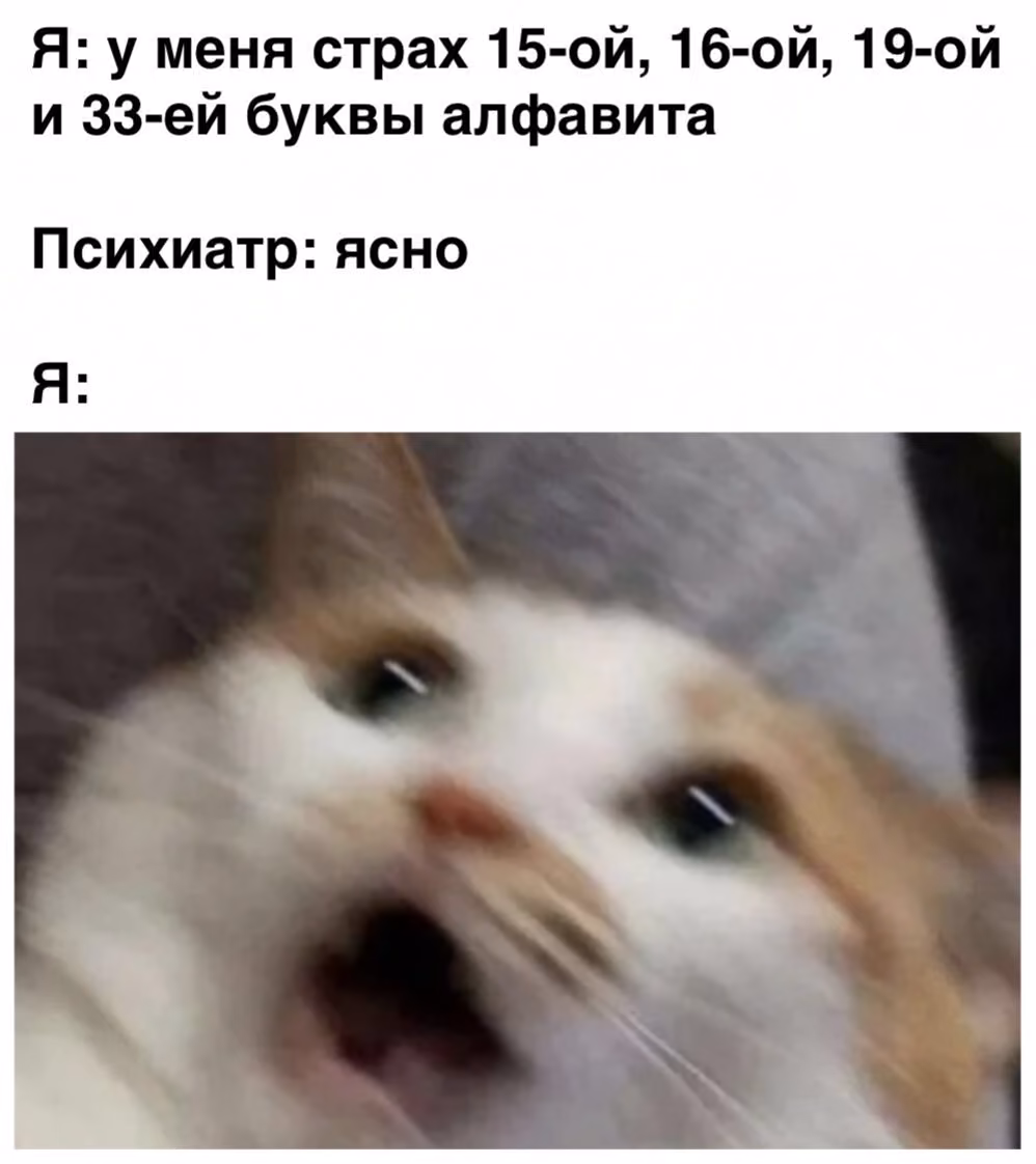 e48ed92403535b9cd98ff58c5d8f2753.avif