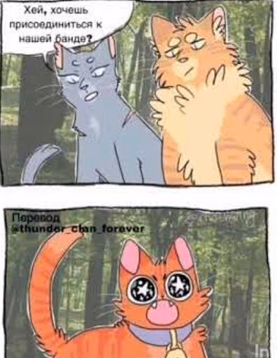 e4979934d719c0ba57bde28a9aacaa44.jpg