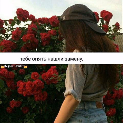 e4a6903205fa4aa2b38c1de4a4f4b236.jpg
