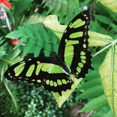 e4b7f1acec357ab63b15789fbc24a3ea.avif