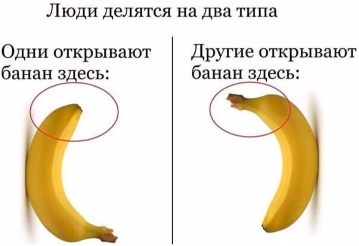 e4c66d1e12e4c9cc1e083f6ca338a154.avif