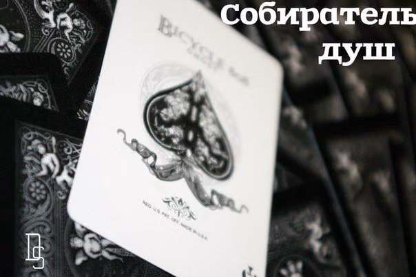 e4fd935e4079f94093f63022bd92ad62.avif