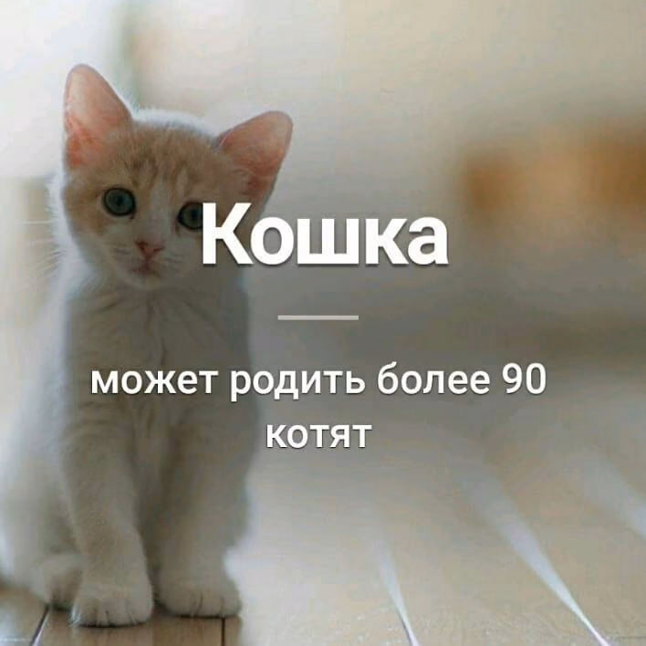 e50248ff8ad5939c94dbe84e8cbb88cb.jpg