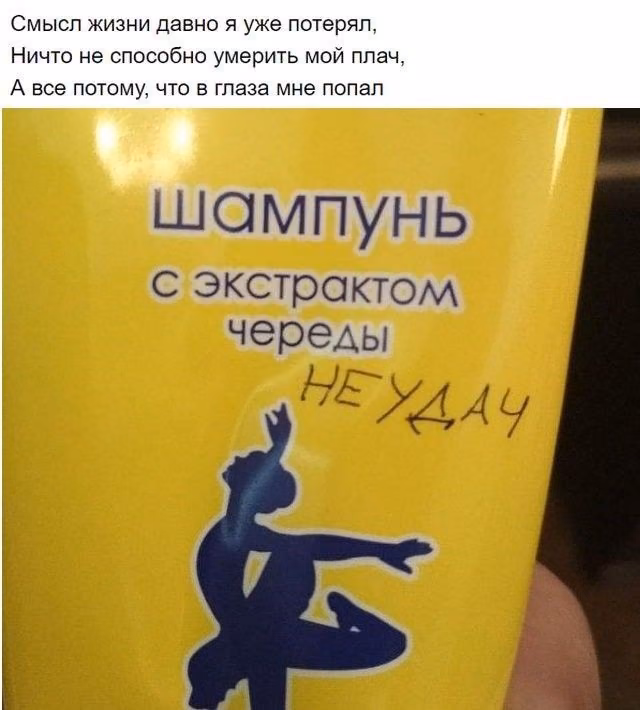 e50fdd46e5c114b83f1fd113a86096f9.avif