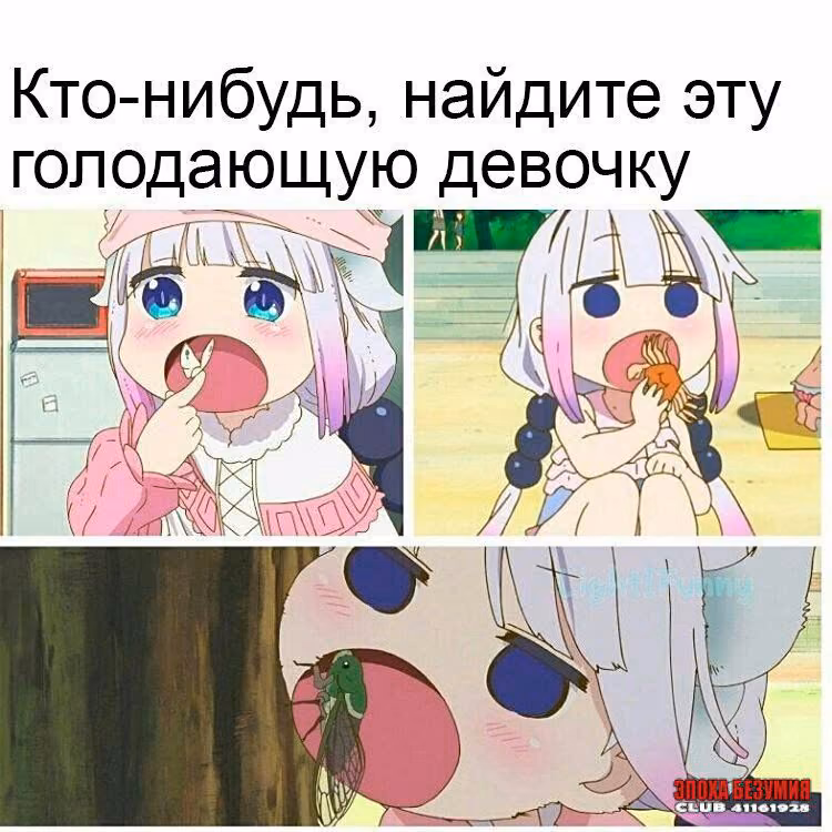 e5339da46fee56ecbb1f3c7e6d9b261b.jpg