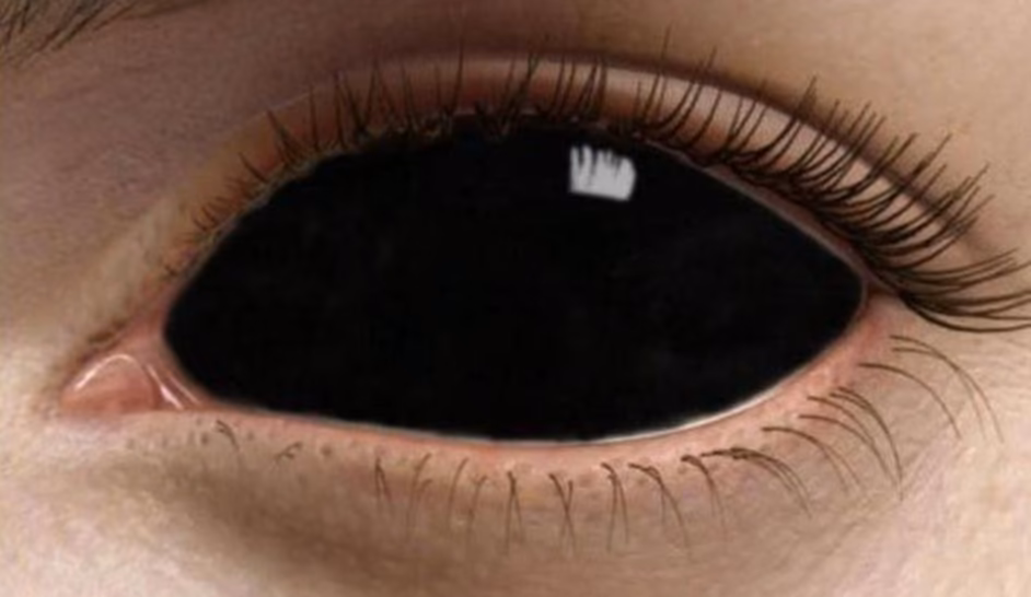 e536c402abcf151297d7b026e7c29cec.avif