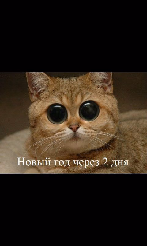 e54b4afe8eafa59c4d983487f6c253d1.avif