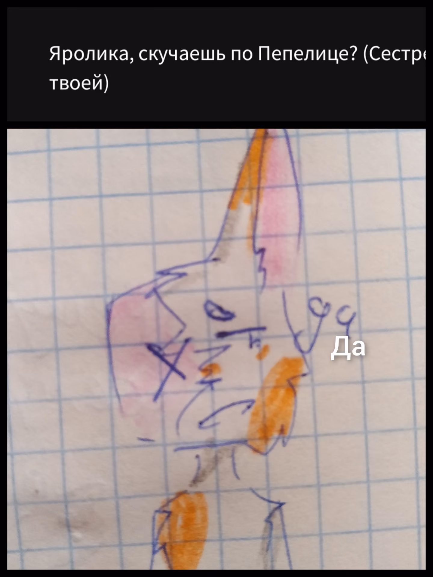 e5513b18a391466be2071d0a5899a7bd.avif