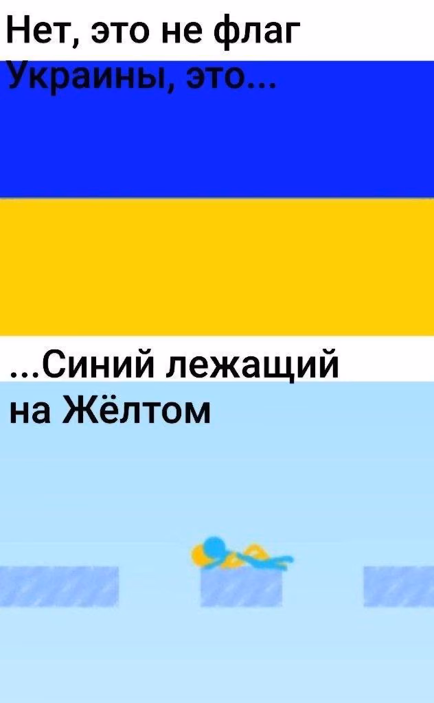 e557031afbd679d2b7f50078f6e07bfa.jpg