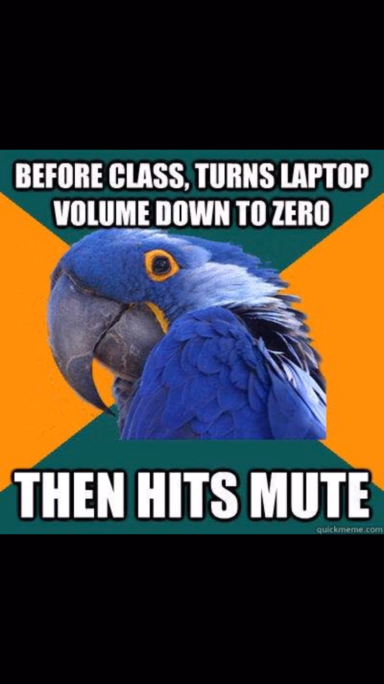 e55e7fe0cc93e4dd4aed962c36c79b0d.jpg