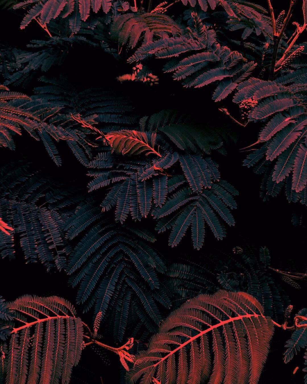 e55f4097f45f855197e364aa1afcfe2e.avif
