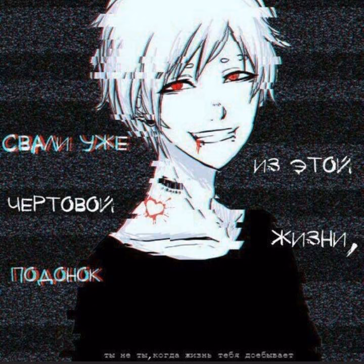 e565c32e93575e9a564a4a72054d66bd.jpg