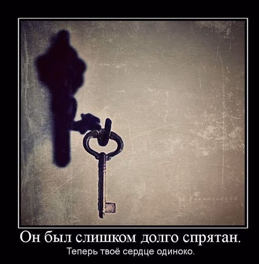 e56c8ecc3dd80aa5d65f0b60dc82813f.avif
