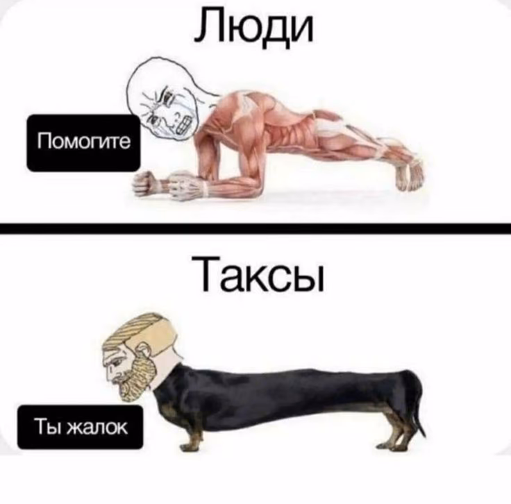 e573a311ff2474abfbcf8d9269cf1fca.jpg
