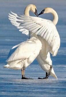e58ed187e81d247c5a3c2d761b1fcaaf.avif