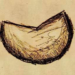 e592a2b4335f759a1e4f095470137b6b.avif