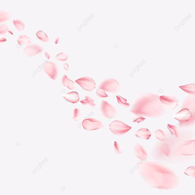 e593c797649a8c1af53dc2c3f2ff893b.avif