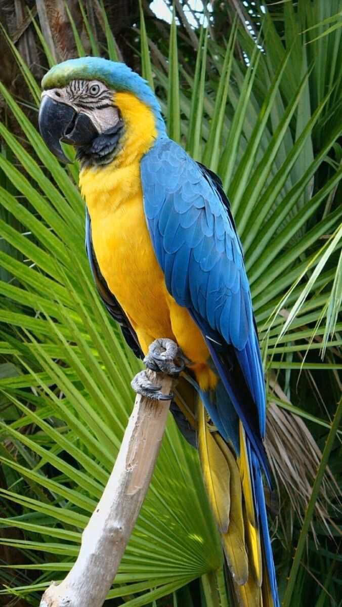 e597379954e39df0f94893df2c32221b.avif