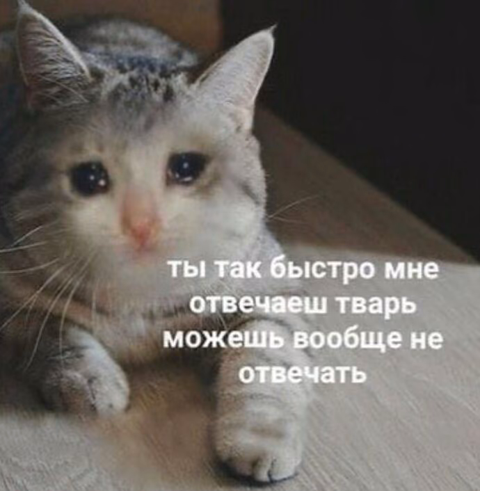 e59cb2436c73d981a018cb7f67657dbc.jpg