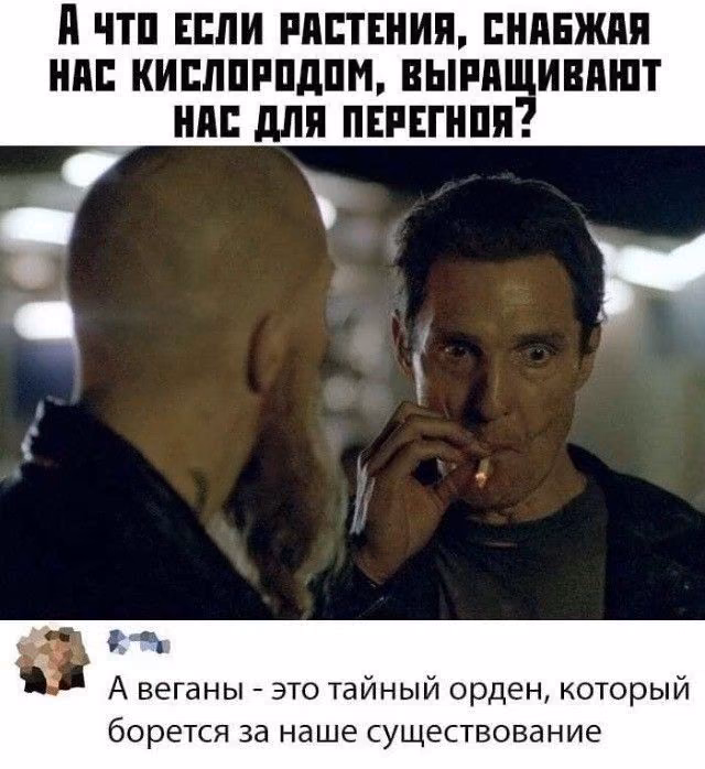 e5a4e24dd98b5d1d94ad9ea794c21d55.avif