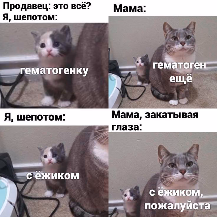 e5a6a0e4157b1e678491d6b9f058fa77.avif