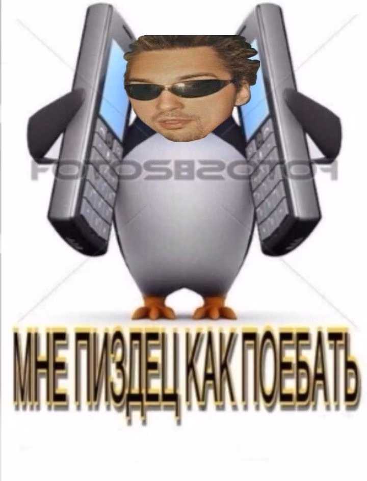 e5a937893cd82f0cde5a45c6bdfa6653.avif