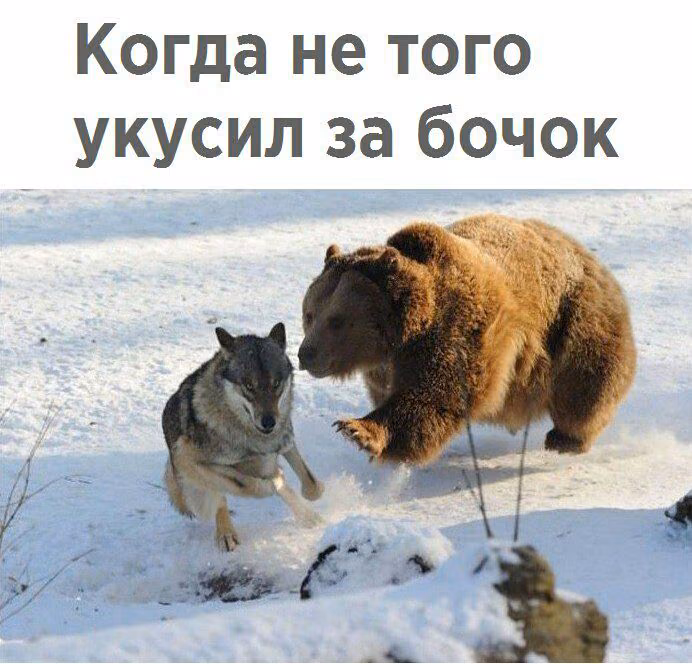 e5b23a583dfcda68cc334da65992f68d.avif