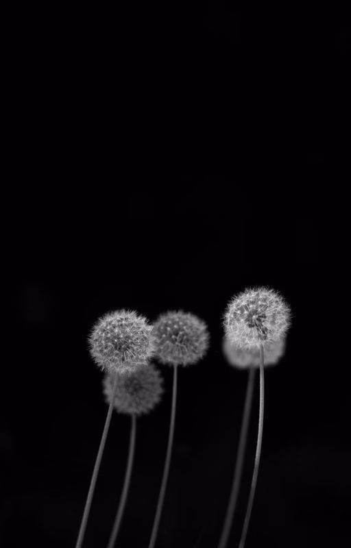 e5b826b2d8a5a394cd7252ab9fffed29.jpg