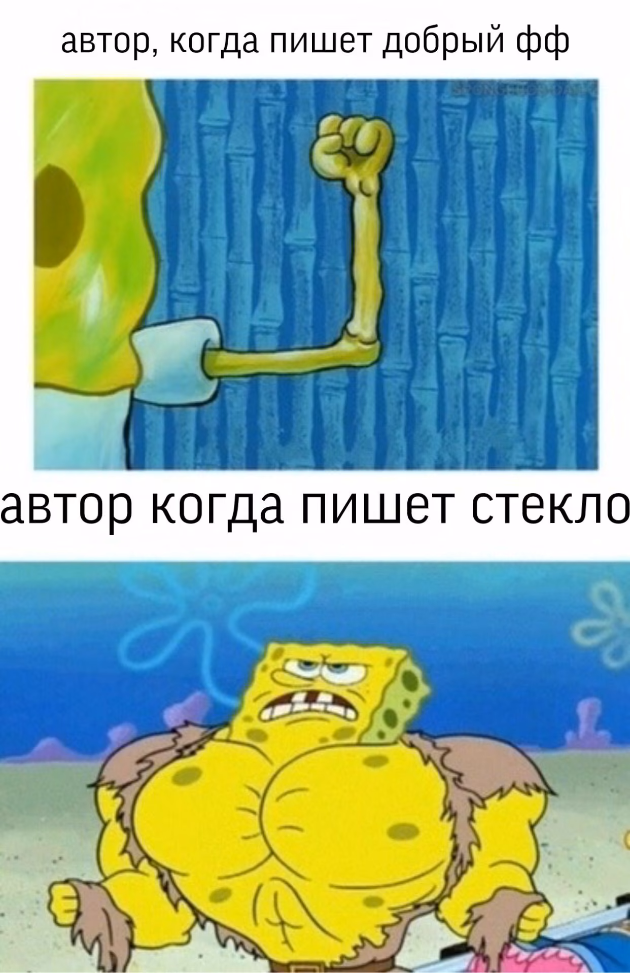 e5bc34c48b9ed1ebe78262138a5c27c7.avif