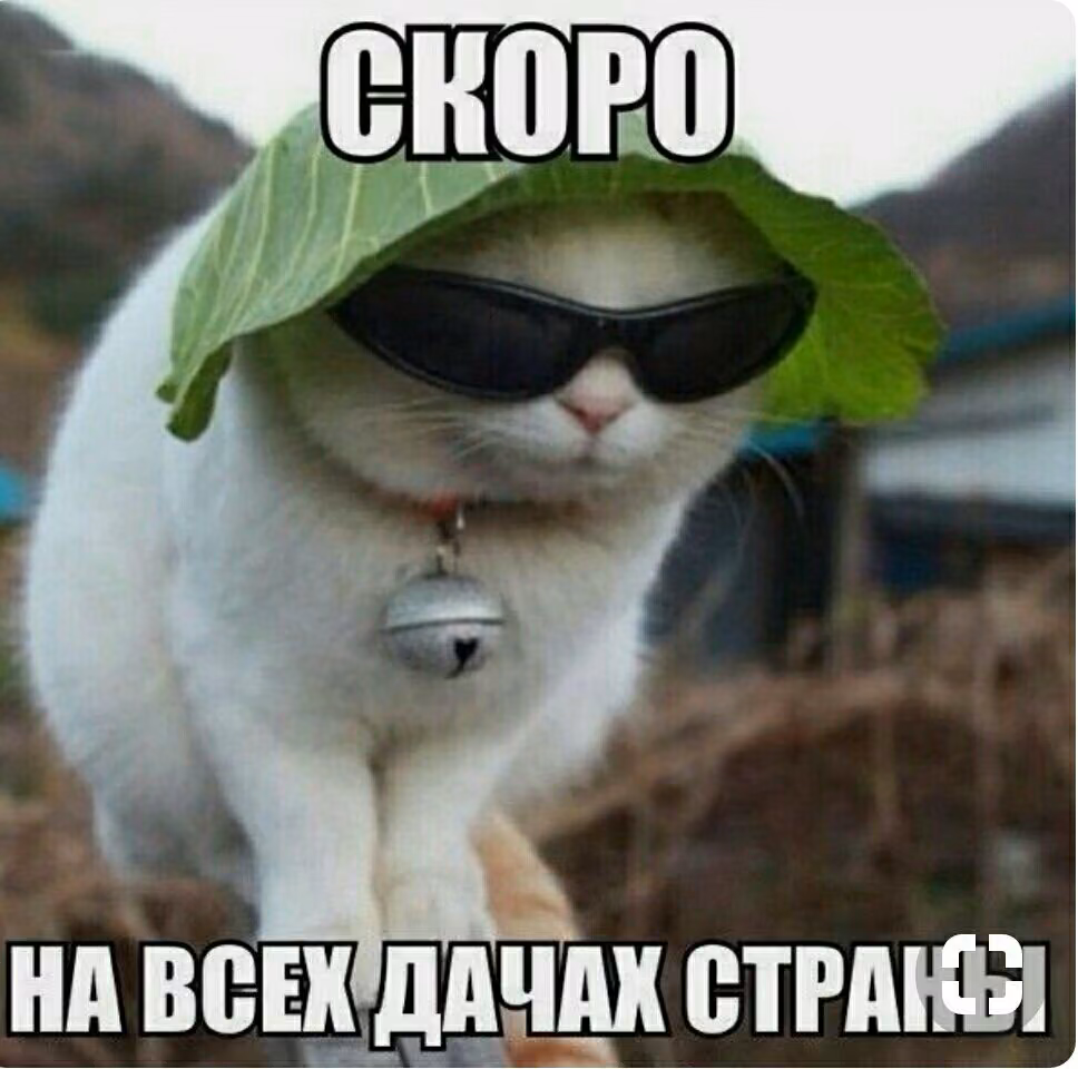 e5beb106baf74a48c2eb8a0634e8c770.jpg
