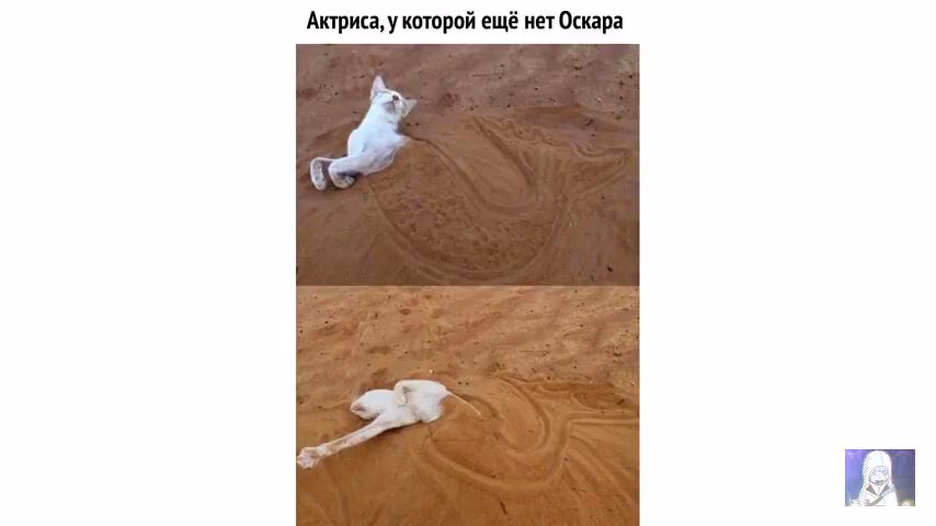 e5dab00e42cc1a2a45a5767d3d5752be.jpg