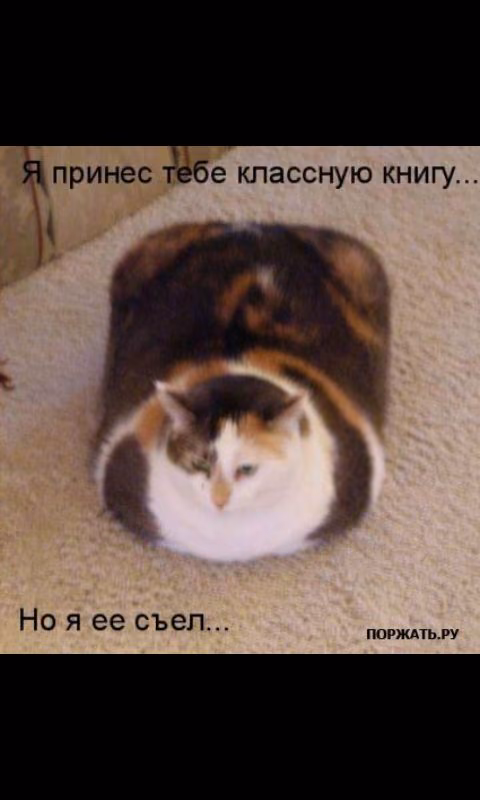 e5f42203ec9713aea808a19ef7980d46.avif