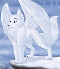 e5f441f205674cd6c3ecbc747f66e8ae.avif